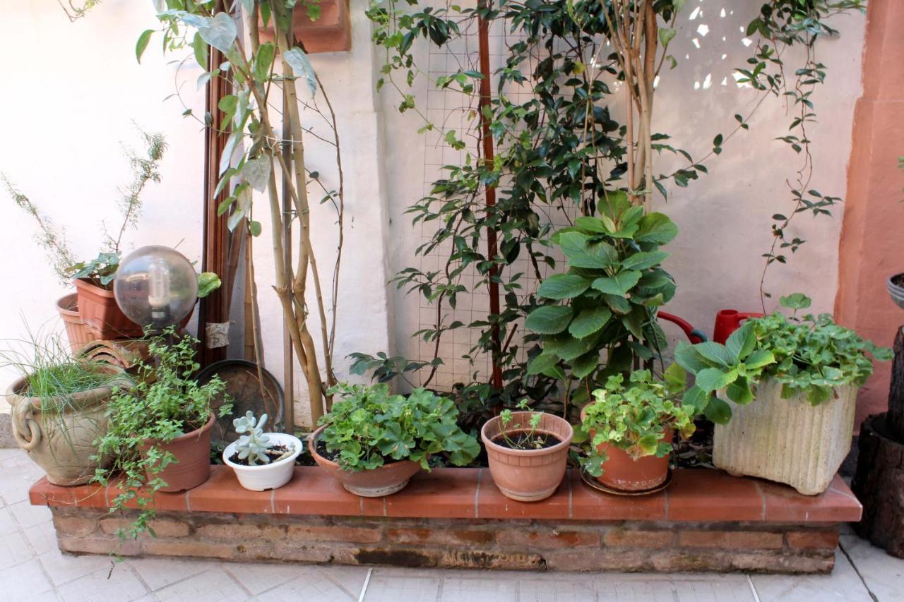 Porta Del Carmine Bed & Breakfast โคมัคคิโอ ภายนอก รูปภาพ